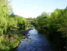 BDO Etobicoke